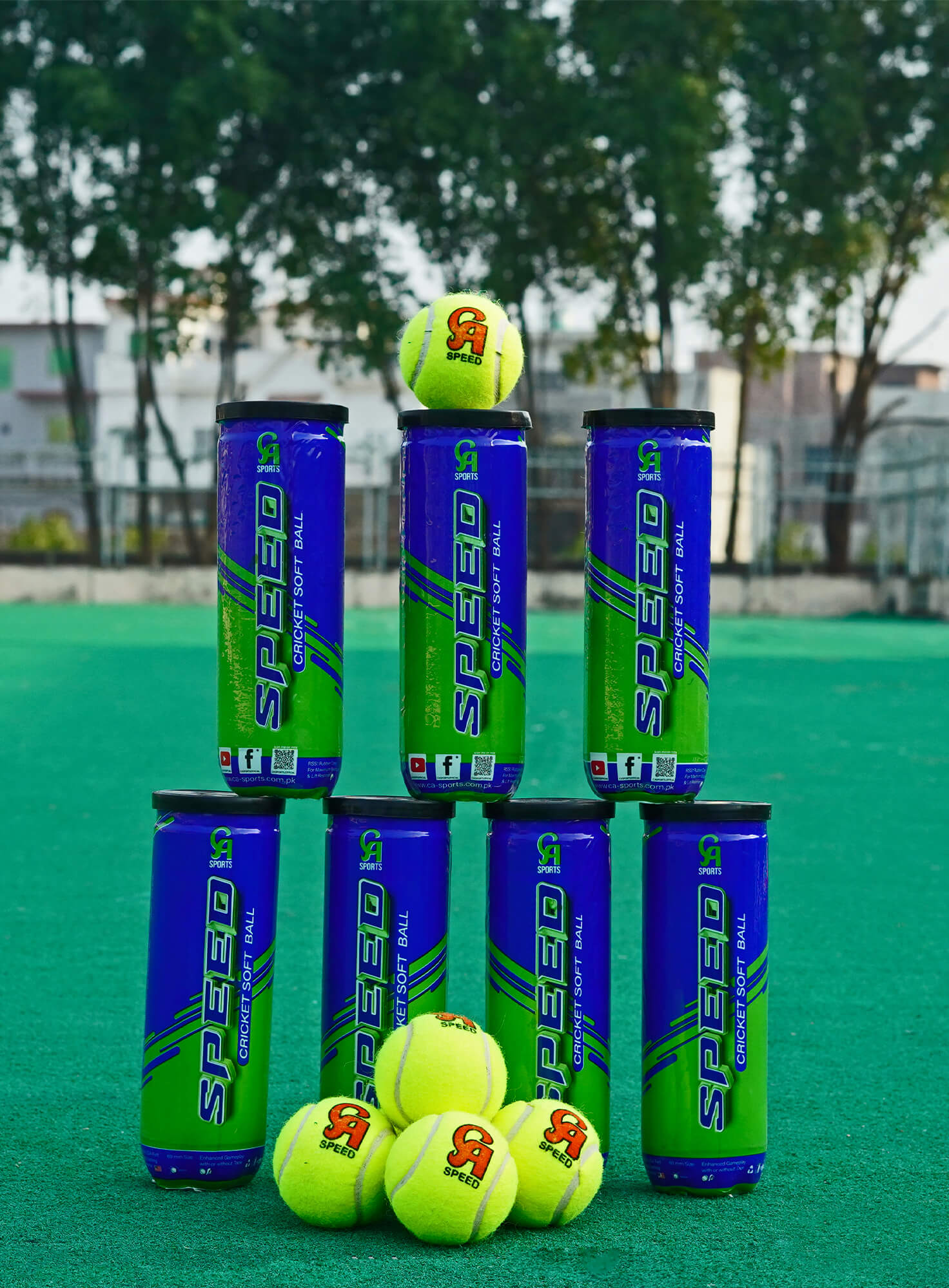 cricket balls