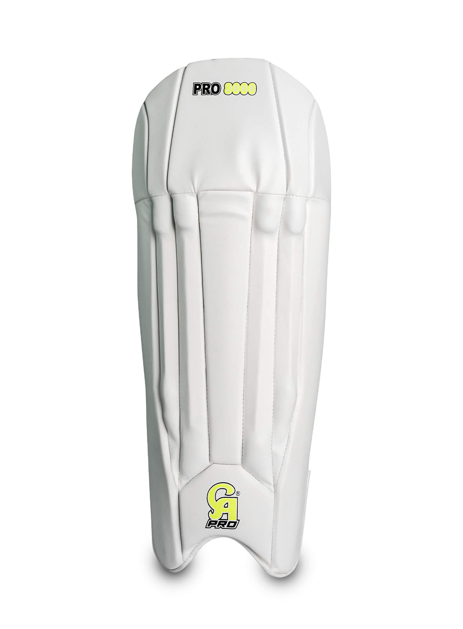 wicketkeepingpads