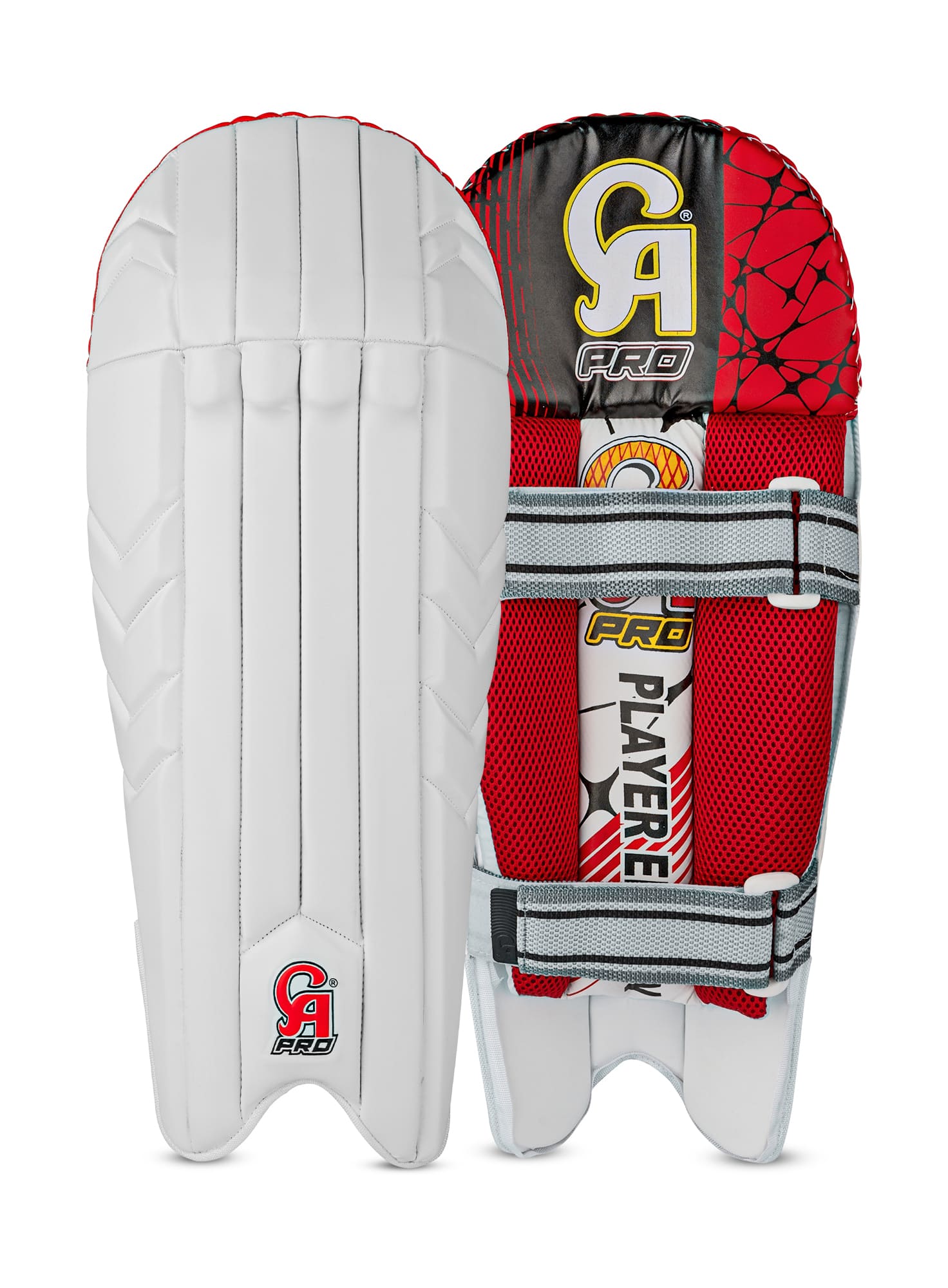 Pro Player's Edition Wicket Keeping Pads